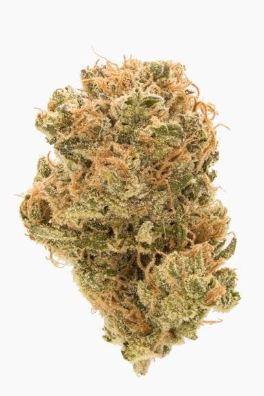 Flower - Starship by Worner Brothers 26.27% - Terps 4.05% - I/H - 9291