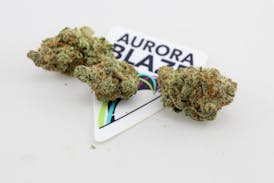 Flower - Purple Berry Kush by Aurora Blaze 26.91% - Terps 2.84% - Indica - 6393
