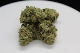 Flower - Phatso by BAM Alaska 32.83% - Terps 3.88% - Indica - 6085