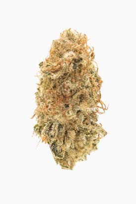 Flower - Girl Scout Cookies (GSC) by Worner Brothers 27.07% - Terps 3.90% - Indica - 7643