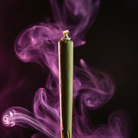 Pre-Roll - Terp & Kief Infused - Tropical Banana 1g by Atlas Extracts 554.10mg - Hybrid - 3724