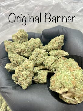 Flower - OG Banner by A Cut Above 22.60% - Terps 1.82% - S/H - 3111