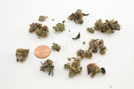 Flower - Cherry Cookies by Aurora Blaze 21.23% - Terps 1.57% - Hybrid - 5967