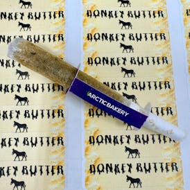 Pre-Roll - Infused - Donkey Butter 1g Arctic Heater by Arctic Bakery 280.27mg - Indica - 1105