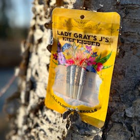 Pre-Roll Pack - Kief Kissed - Cookies Gelato 19.5% | Bubbalicious 17% (.5g) 4pk 2g by Lady Gray -...