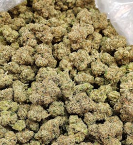 Flower - Red Velvet Cake by LBS 28.71% - Hybrid - 4276