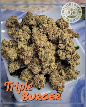 Flower - Triple Burger by Wildflower Farms 29.70% - Terps 3.27% - Indica - 8407