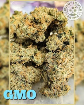 Flower - GMO by Wildflower Farms 28.33% - Terps 2.75% - I/H - 8408