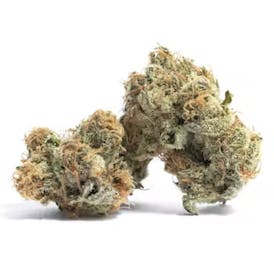 Flower - Peyote Cookies by Budmasters 20.72% - Terps 4.49% - Indica - 0304