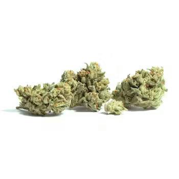 Flower - Bush Master by ATC 32.16% - I/H - 6696