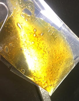Concentrate - Rosin - Pineapple Express 1g by Greatland Ganja 69.23% Terps 4.91% - Sativa - 0875