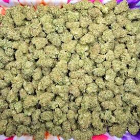 Flower - Buddha by Parallel 64 27.48% - Terps 2.63% - Sativa - 3131