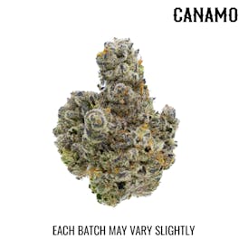 Flower - Cactus Cooler by Canamo Concepts 32.40% - Terps 3.54% - S/H - 9259