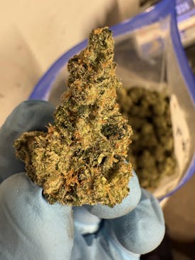 Flower - Love Potion #9 by Redoubt Reefer 29.99% - Hybrid - 2559