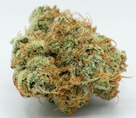 Flower - Blue Dream by Worner Brothers 23.43% - Terps 2.65% - S/H - 7982