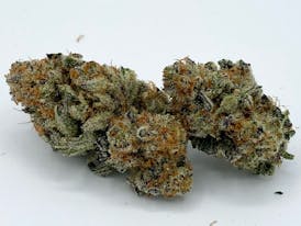 Flower - Platinum Kush by Worner Brothers 28.91% - Terps 3.97% - Indica - 7983