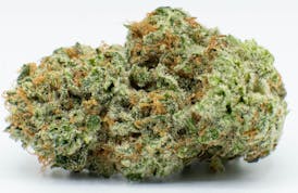 Flower - Starship by Worner Brothers 27.12% - Terps 3.22% - I/H - 7985