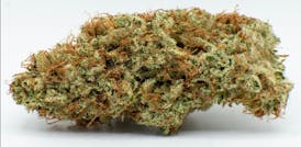 Flower - Girl Scout Cookies by Worner Brothers 28.66% - Terps 4.13% - I/H - 7986