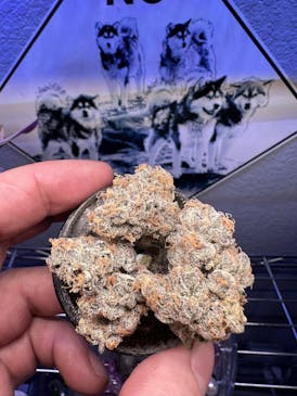 Flower - Grape Cake Mintz by Snowcapped Gardens 28.95% - Terps 1.52% - Indica - 2888