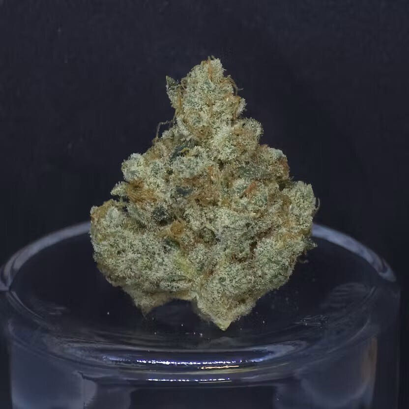 Flower - Smack! by BAM Alaska 29.46% - Terps 3.05% - Hybrid - 7177