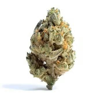 Flower - Mercy Fruit Haze by Mercy Tree 22.75% - Sativa - 8121