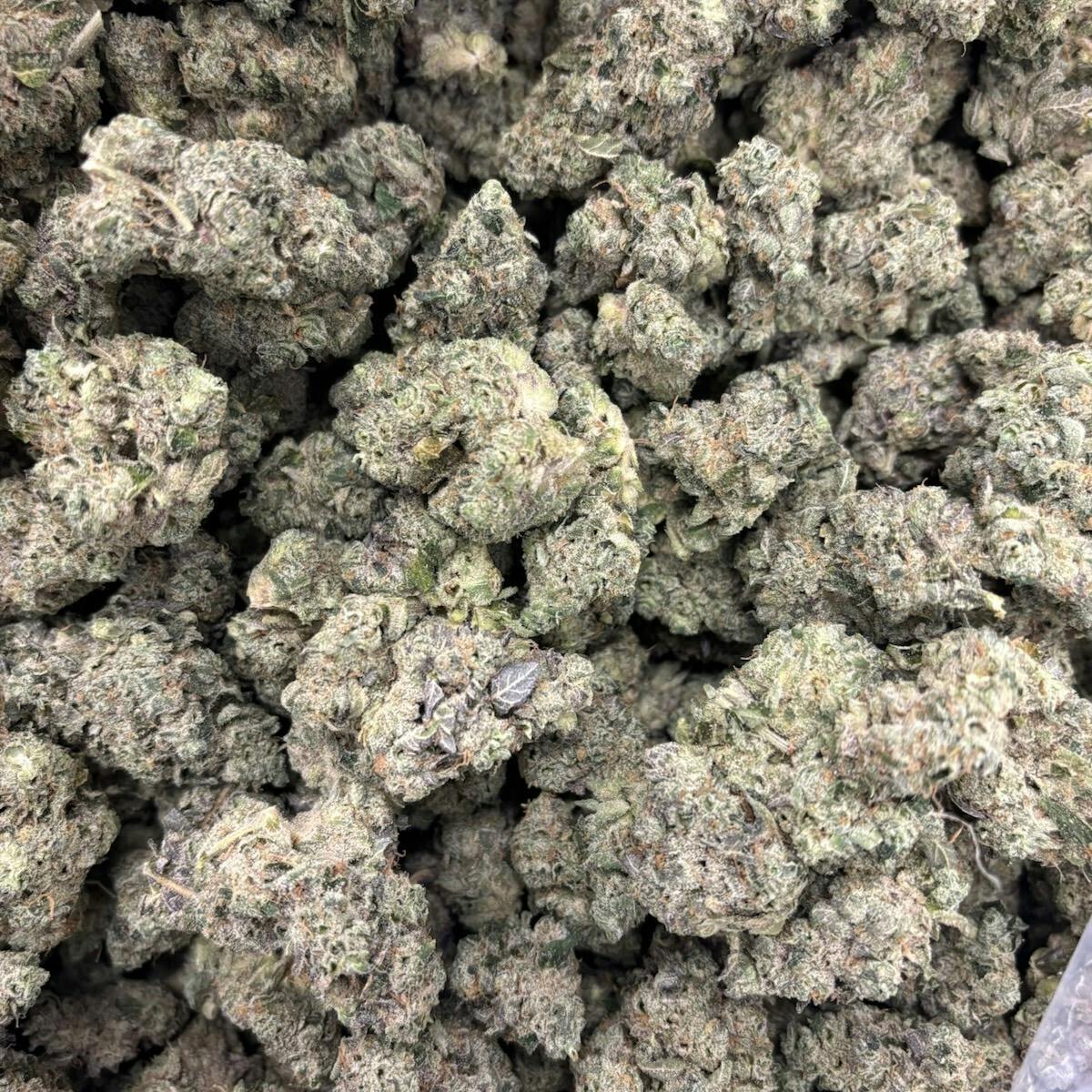 Flower - Juice Man by LBS 18.40% - Indica - 7532