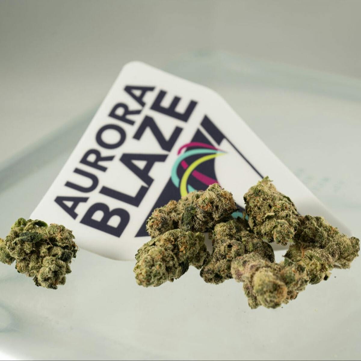 Flower - Sherbanger by Aurora Blaze 30.62% - Terps 2.54% - Hybrid - 8769