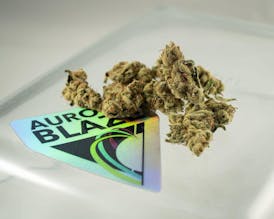 Flower - Chemdawg by Aurora Blaze 24.81% - Terps 1.87% - Hybrid - 6816