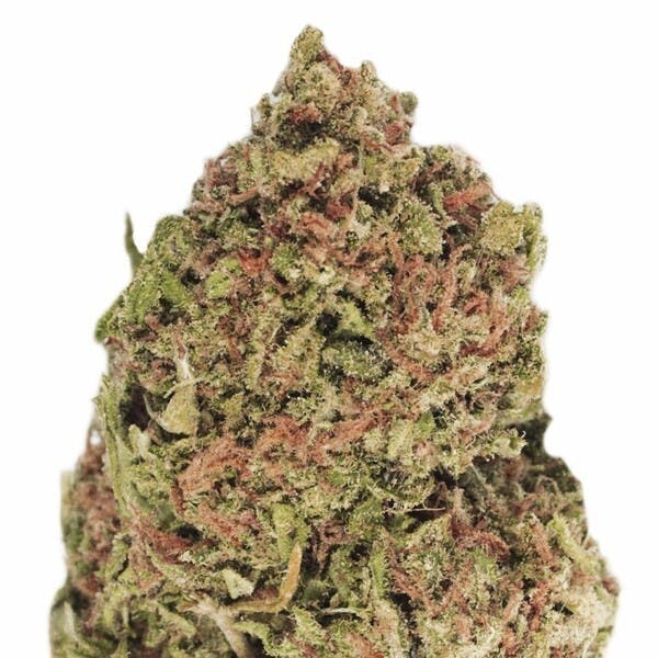 Flower - Dream Machine by Budmasters 21.06% - Terps 2.13% - I/H - 0368