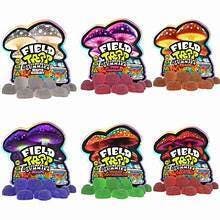 $24.99 Field Trip Mushroom Gummies 10pk | Various Flavors