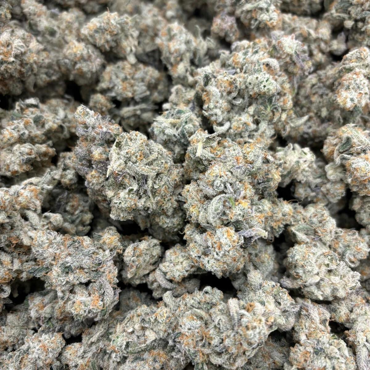 Flower - Indian Gold by LBS 20.37% - Sativa - 6986