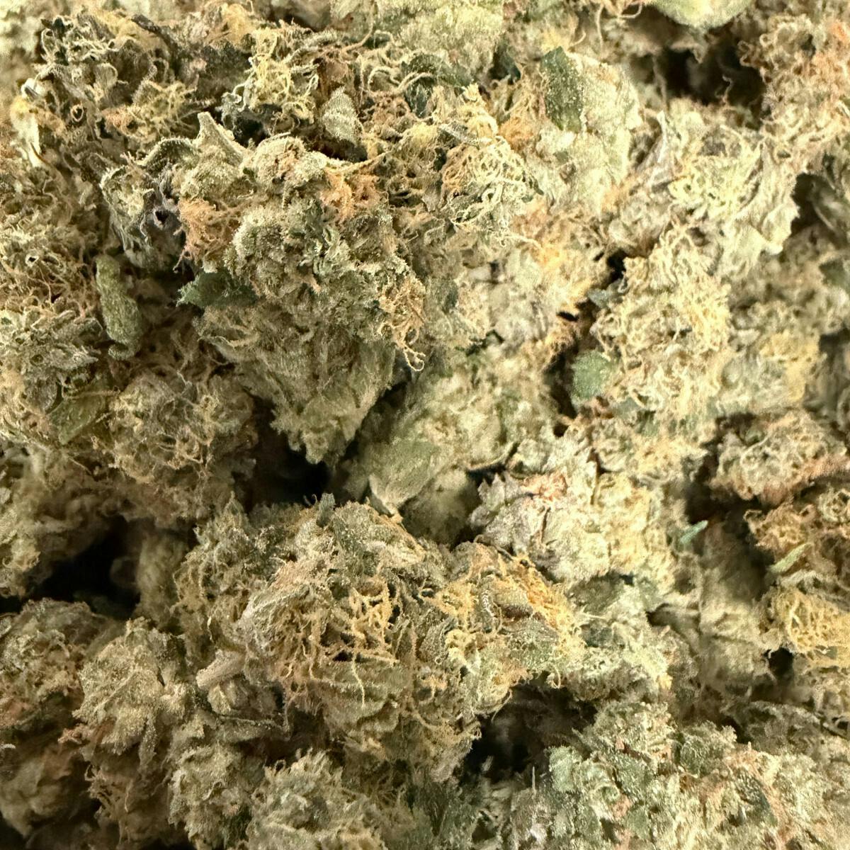 Flower - Lemon Royal by Candid Farms 27.62% - S/H - 0915