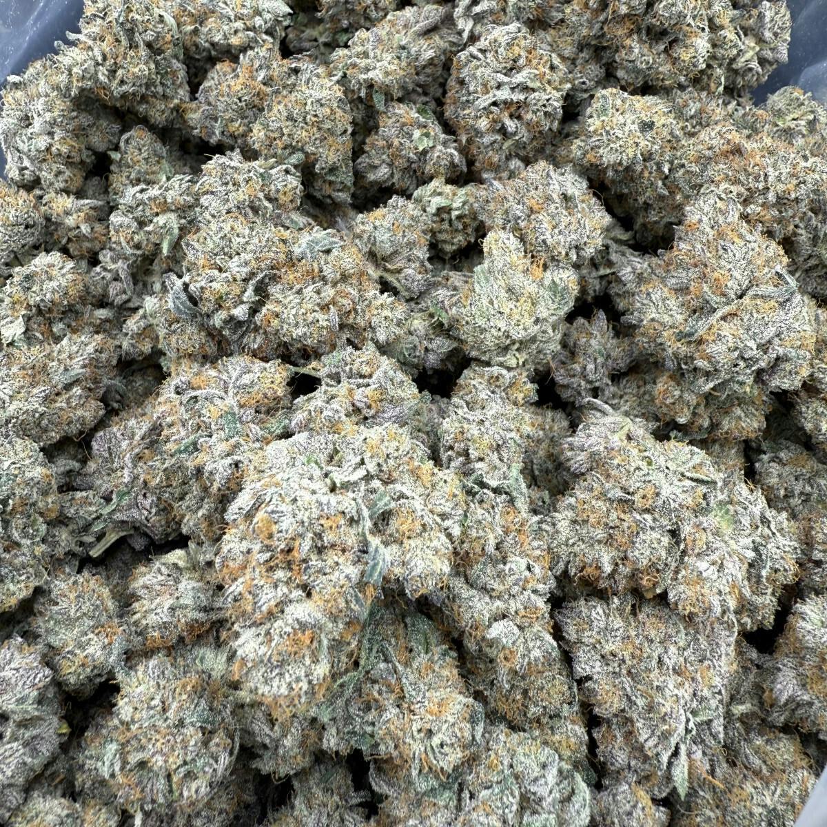 Flower - Ice Cream Cake by Herbal Dreams 27.08% - Terps 2.10% - I/H - 5420