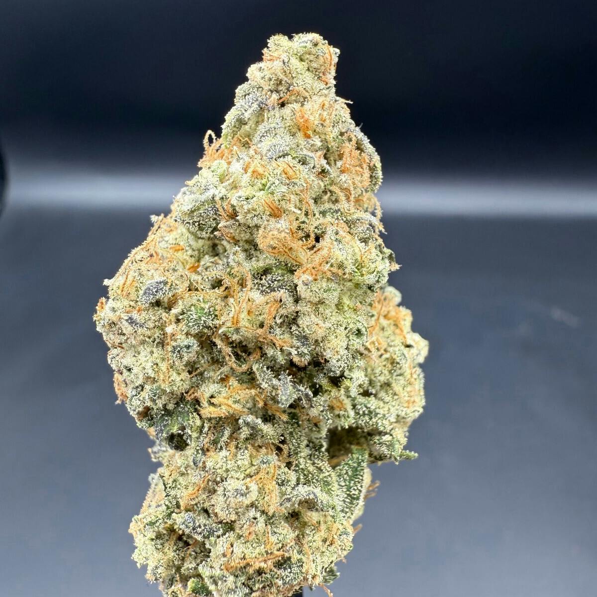 Flower - Panty Dropper by Herbal Dreams 26.10% - Terps 2.88% - Sativa - 5421