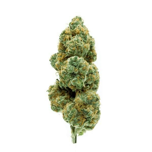 Flower - Phatso by BAM Alaska 29.81% - Terps 4.16% - Indica - 8423