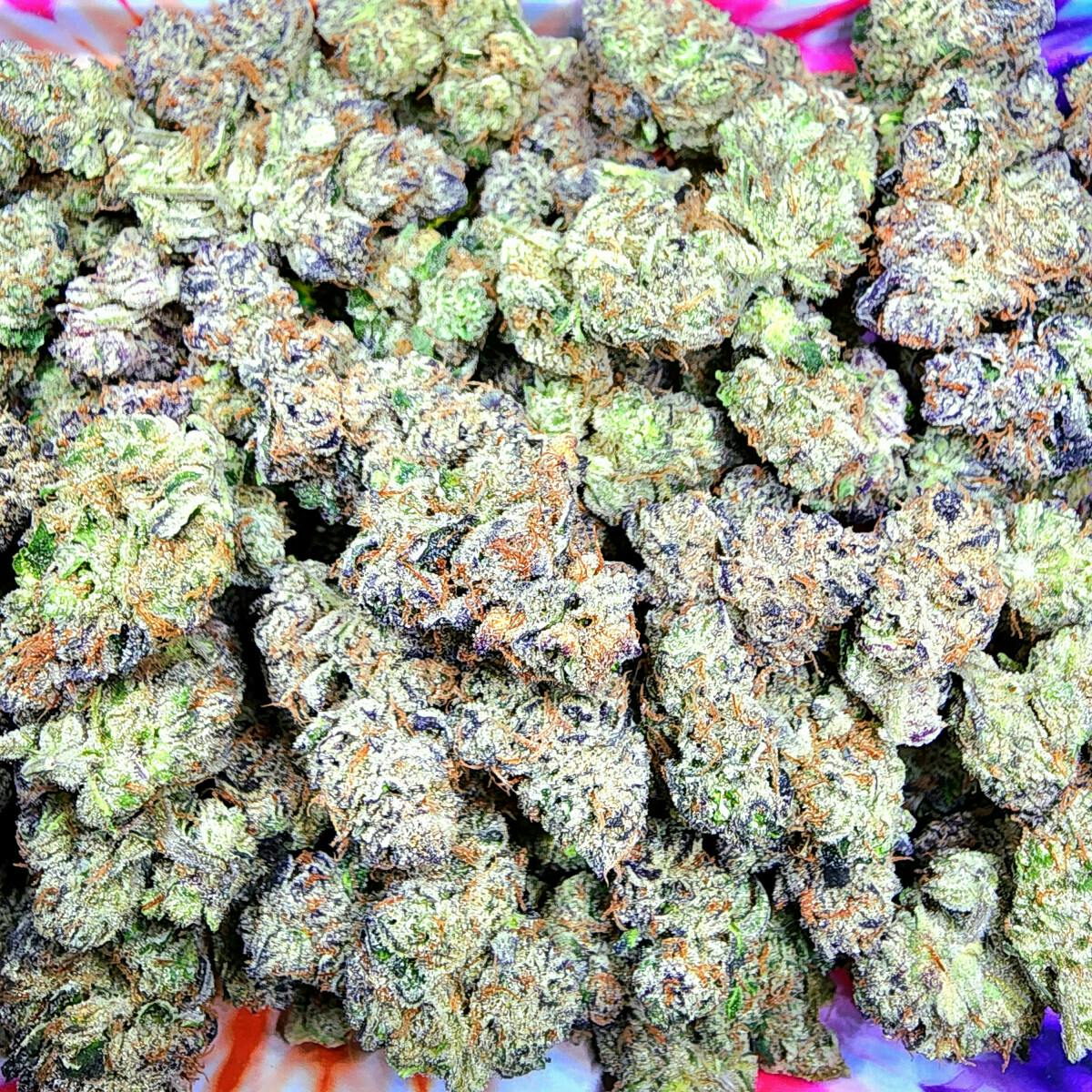 Flower - Abuelo OG by Parallel 64 25.91% - Terps 2.79% - Sativa - 5148