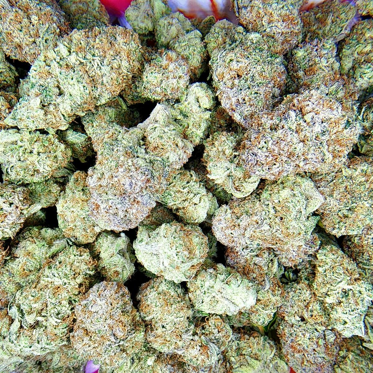 Flower - Magic Melon by Parallel 64 26.97% - Terps 2.63% - Sativa - 5146