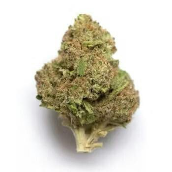 Flower - Candy Temple by Moon Forest Legends 29.16% - Terps 2.52% - S/H - 2533