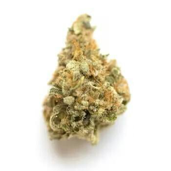Flower - MAK by Absolem's Garden 27.21% - S/H - 1765