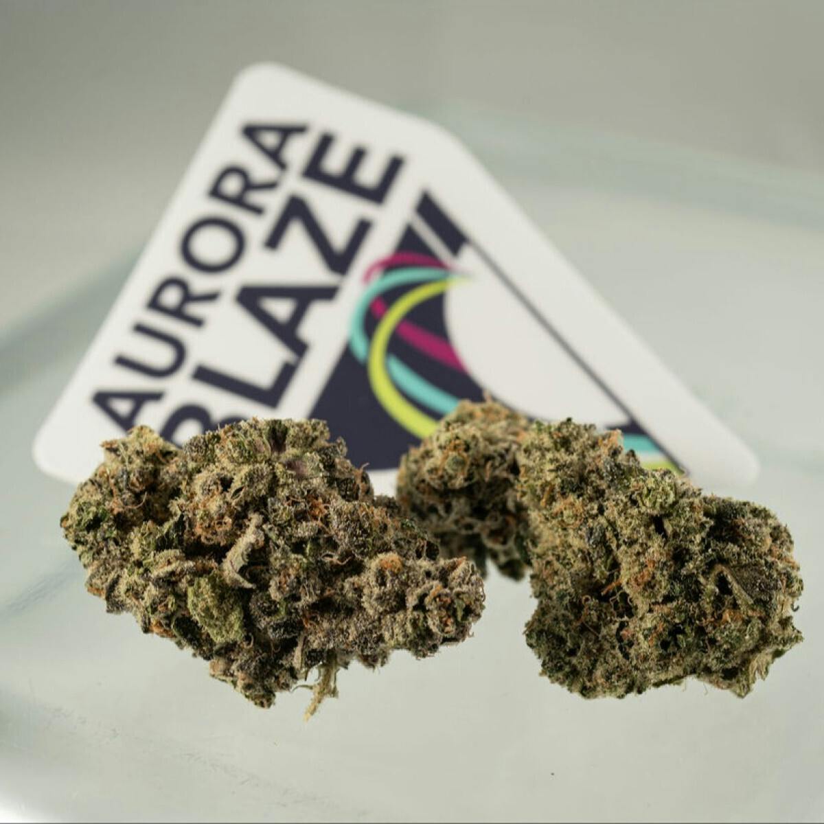 Flower - Sherbanger by Aurora Blaze 31.89% - Terps 2.59% - Hybrid - 8661