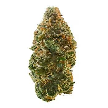 Flower - Cherry Bomb by ATC 32.86% - Hybrid - 6720