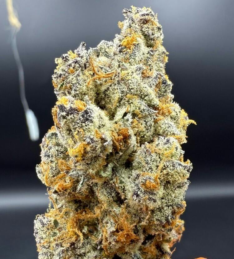 Flower - Fruit Breath by Herbal Dreams 26.02% - Terps 2.13% - Sativa - 6027