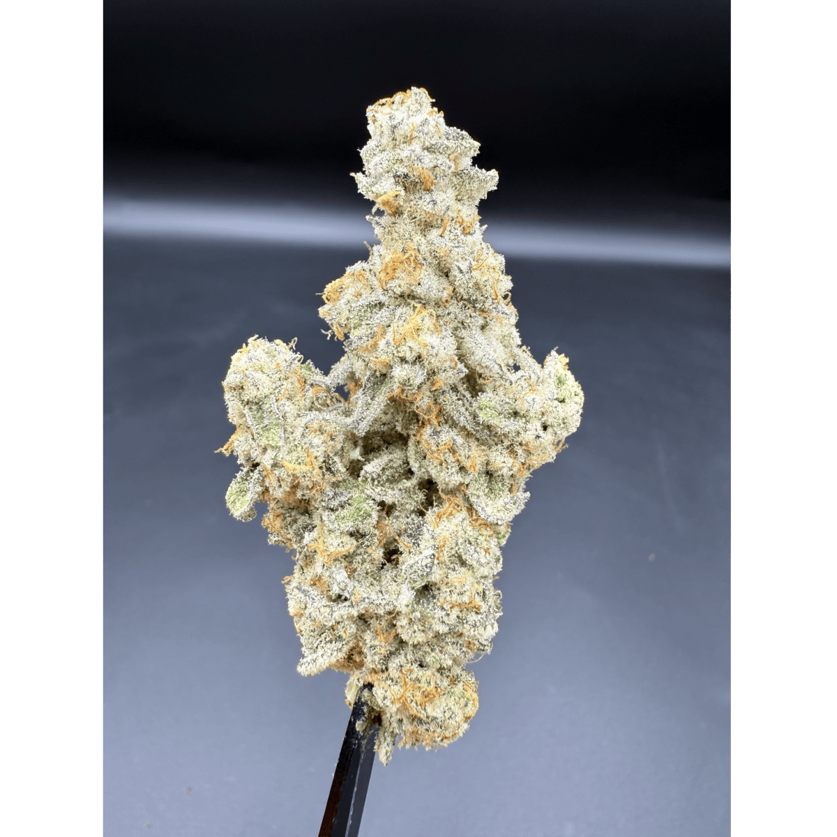 Flower - Cap Junky by Herbal Dreams 32.90% - Hybrid - 6028