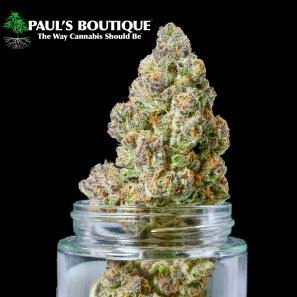 H Paul's Major League Chew 3.5g Cryo Flower