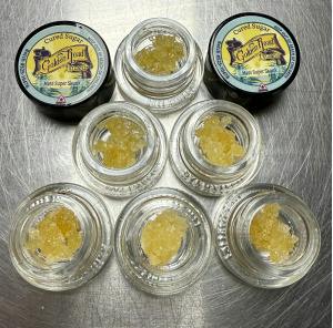 GR Florida Punch Cured Badder