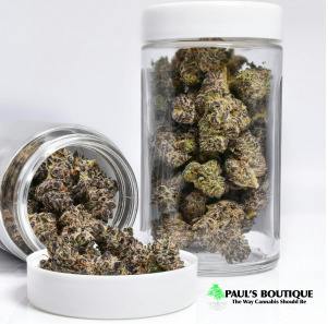 IH Paul's Chile Azul 14g Flower