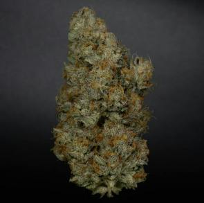 IH Cannabis Cabin Candy Fumez