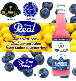 Blueberry Lemonade | Carbonated | 10mg | 12fl oz