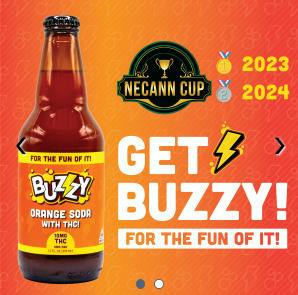 Buzzy Orange