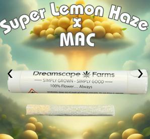 Dreamscape SLH/MAC 1g Preroll